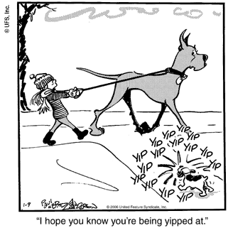 marmaduke